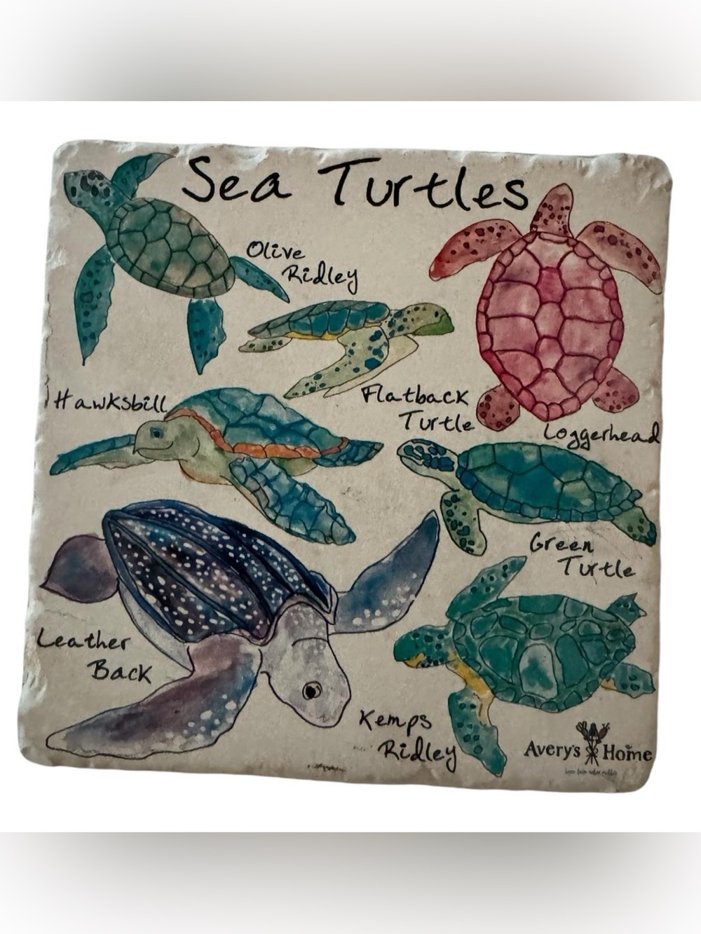 🐢💙Avery’s Home Sea Turtle Species Coastal Stone Cork Back Trivet Kitchen Tile